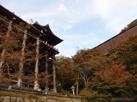 清水の舞台を下から見上げる