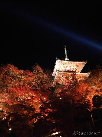 清水寺ライトアップ