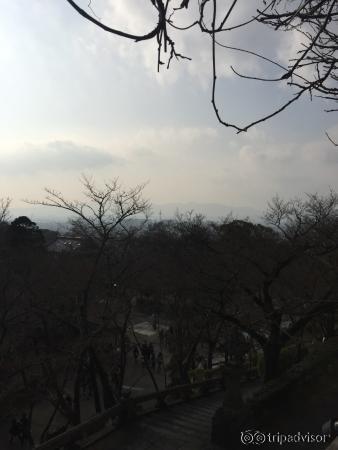 京都タワーを望む