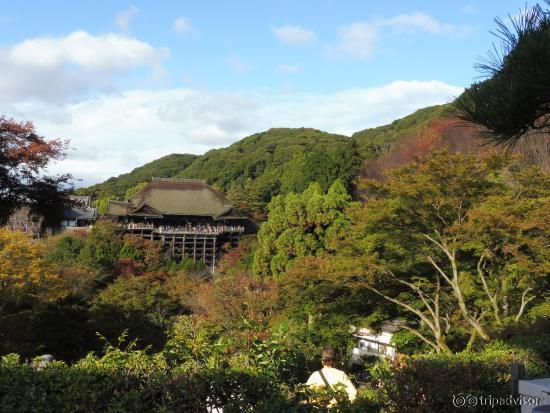 遠眺本堂與尚未完全開滿的楓葉