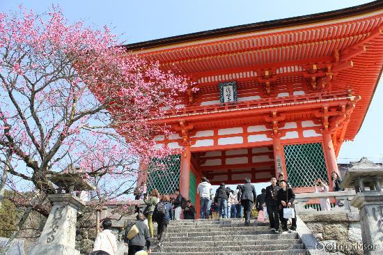 Вход на территорию храма