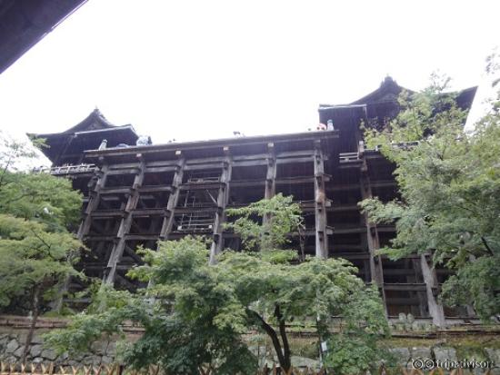 下からの眺めがすごい！