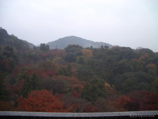 子安の塔の方向