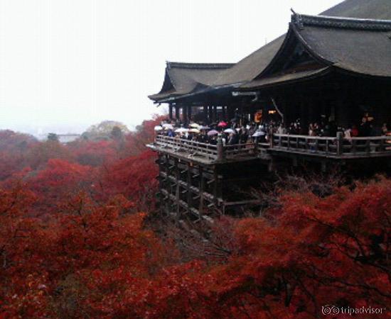 紅葉の清水の舞台