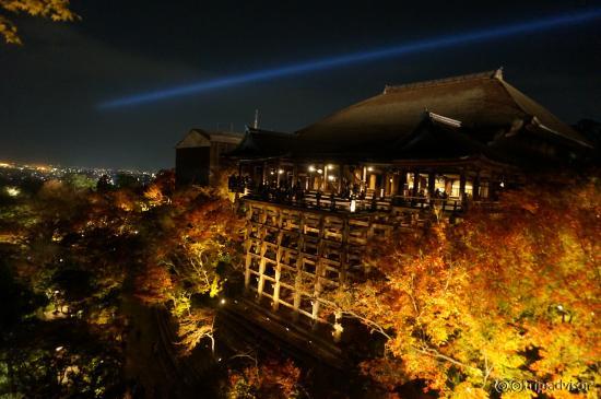 기요미즈데라 야간개장 모습