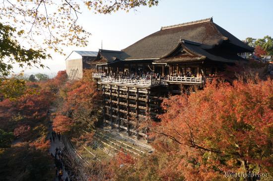 기요미즈데라 낮 모습