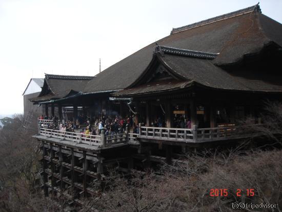 dona and natasha 2015