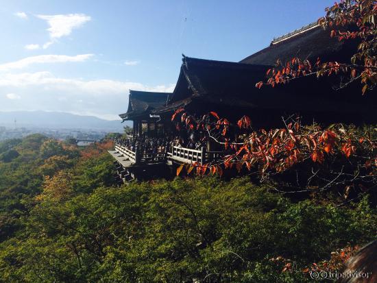 금각사 은각사보다 더 멋진 곳 단 한군데를 가야 한다면 이 곳을 추천합니다.if you don't have a much time, just visit in here fir
