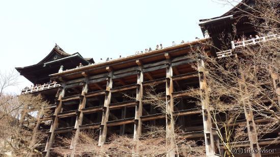 Kiyomizu-dera from below.