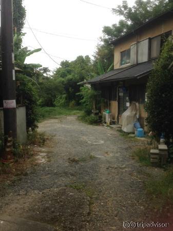 Someone's home! - I walked really really far.