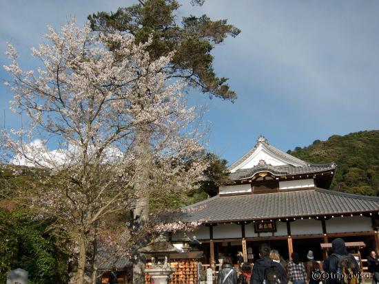 Kiyomizu-dera