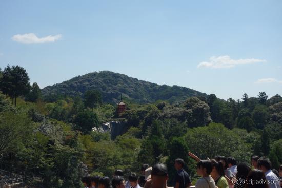 View from the top of the hill