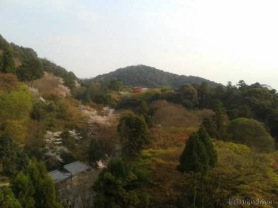 View from the balcony