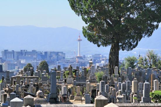 View from the cemetary