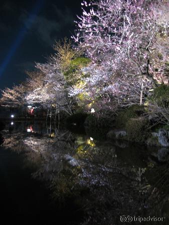 Kiyomizu-dera