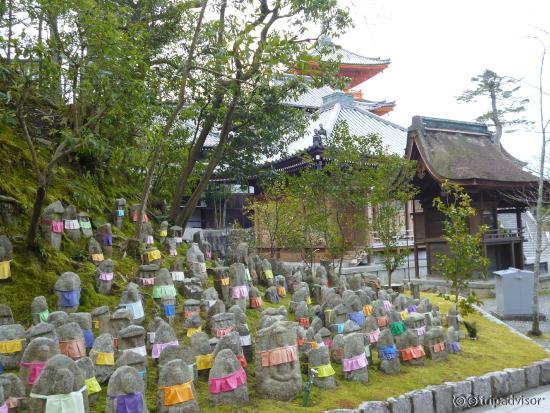 Check out these little guys