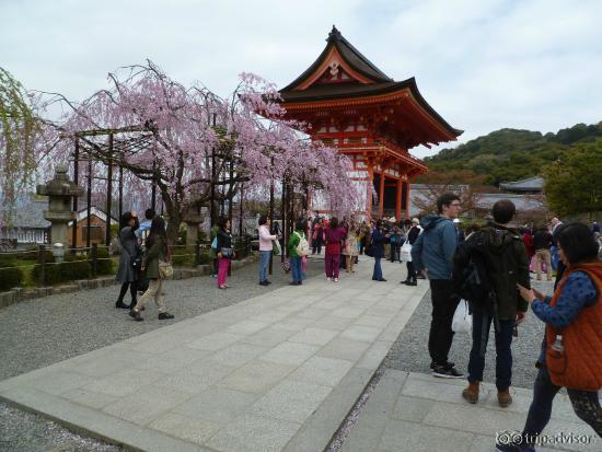 Kiyomizu-dera Temple