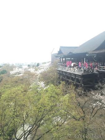 View of Kyoto & Kiyomizu Stage