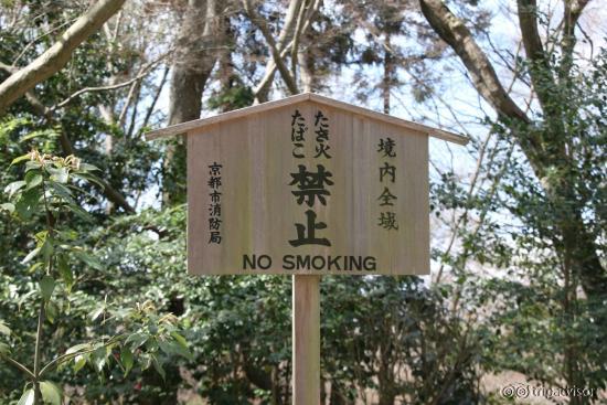 No smoking allowed, only in restaurants...