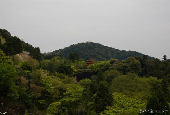 View from the Main hall