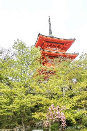 Around Kiyomizu-dera