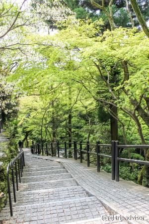 Around Kiyomizu-dera