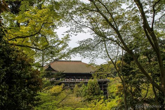 Around Kiyomizu-dera
