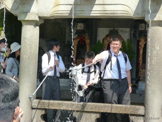 drinking from waterfall fountain