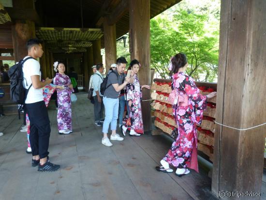 dress up as a geisha