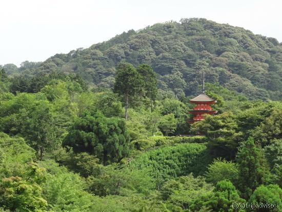 view from the kiyomizu temple platform