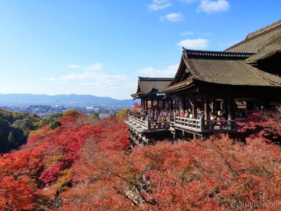 Kiyomizudera in autumn