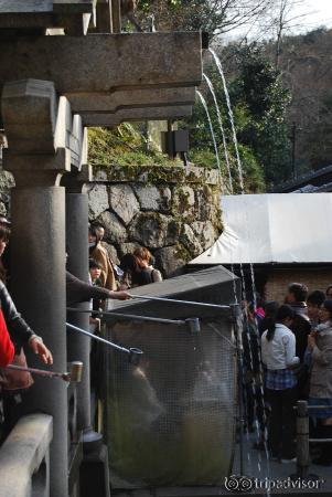 Catching water at the Otowanotaki waterfall