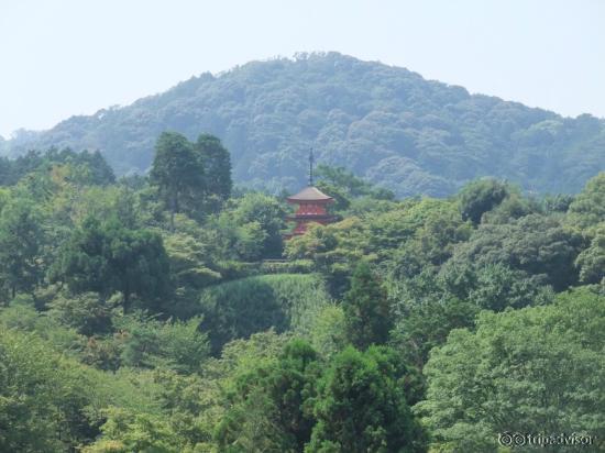 View from Kiyomizu Stage