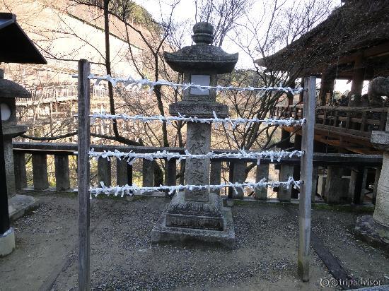 Omikuji - Fortune Papers