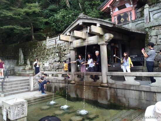 Drink the water for good luck