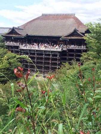 Amazing wooden temple