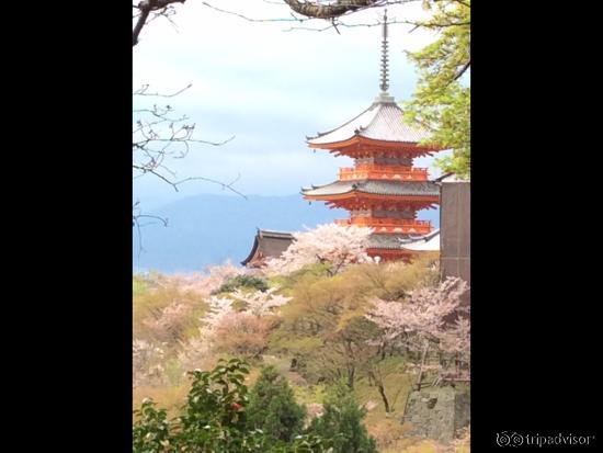 Pagoda at Kiyomizu dera Temple. April 2015.