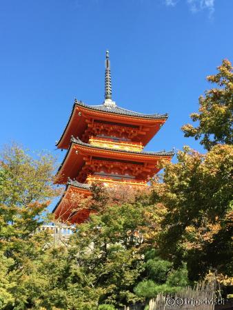 View near the exit, back up to the main complex