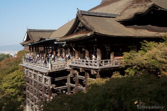 Amazing timber construction underneath temple