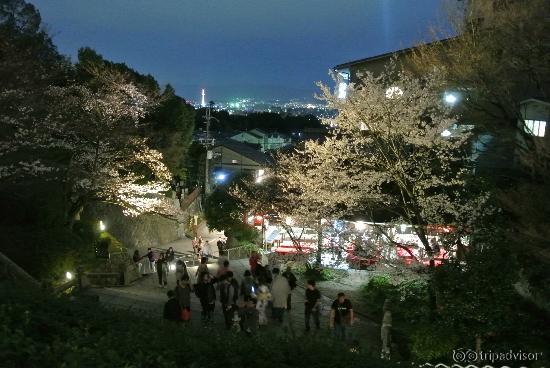 Cherry blossoms and lights on the front steps of the temple