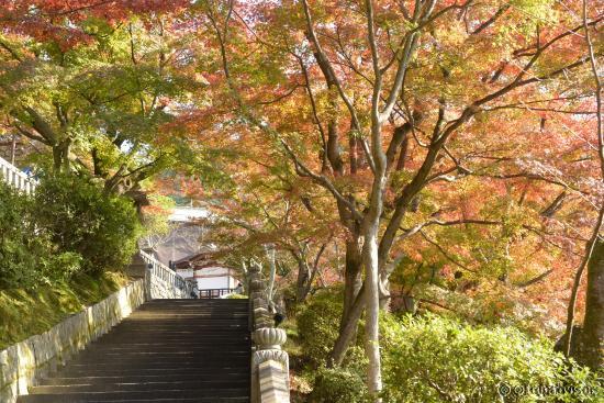 Staircase from the Temple