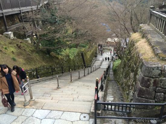 View from the top of Kiyomizu-dera Temple.