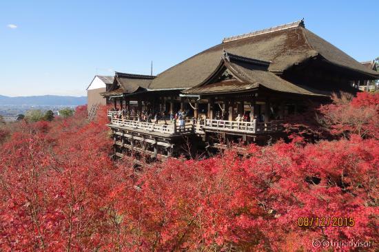 Gorgeous fall colours
