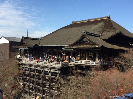 View from the terrace