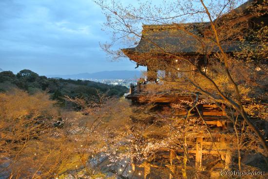 View from the hillside at the temple