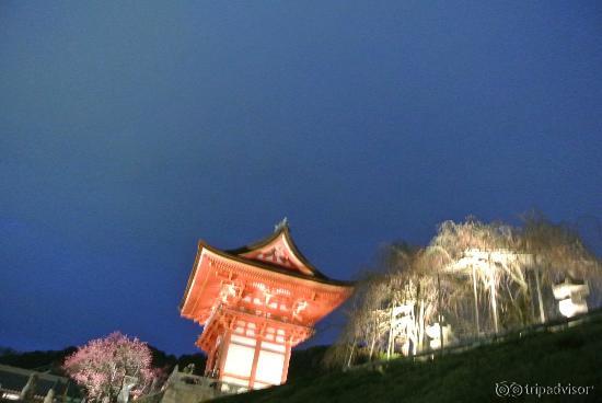 The illuminated pagoda after dark
