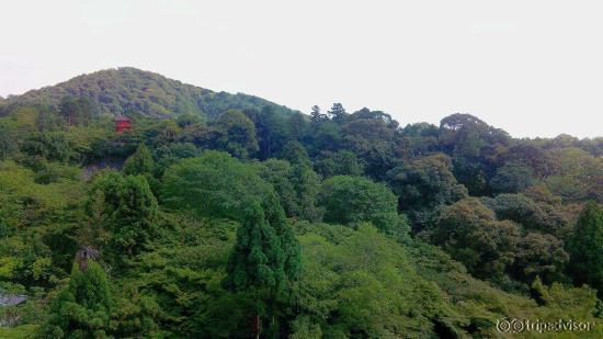 Vistas desde el templo