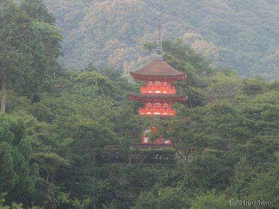 The Pagoda in the natural surroundings