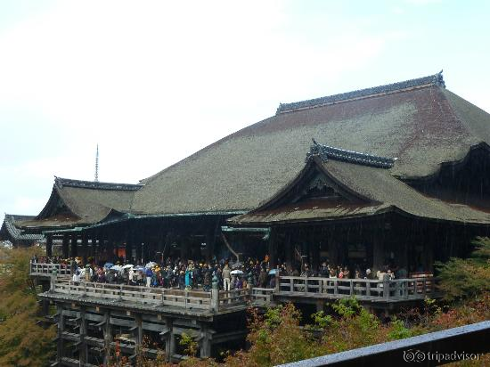 View from the surrounding gardens