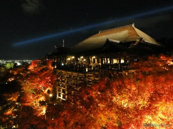 Spectacular fall light up display